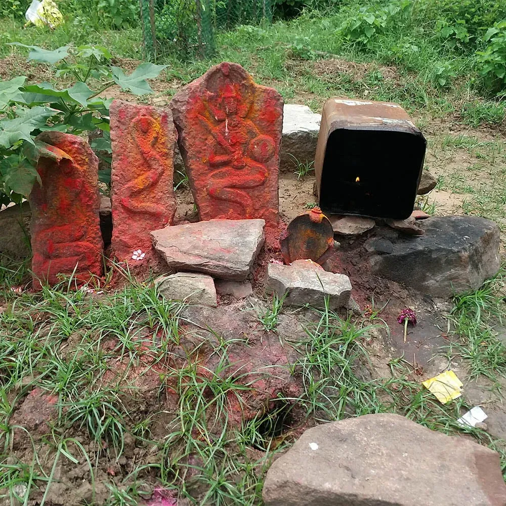Shiv Murti on Stone